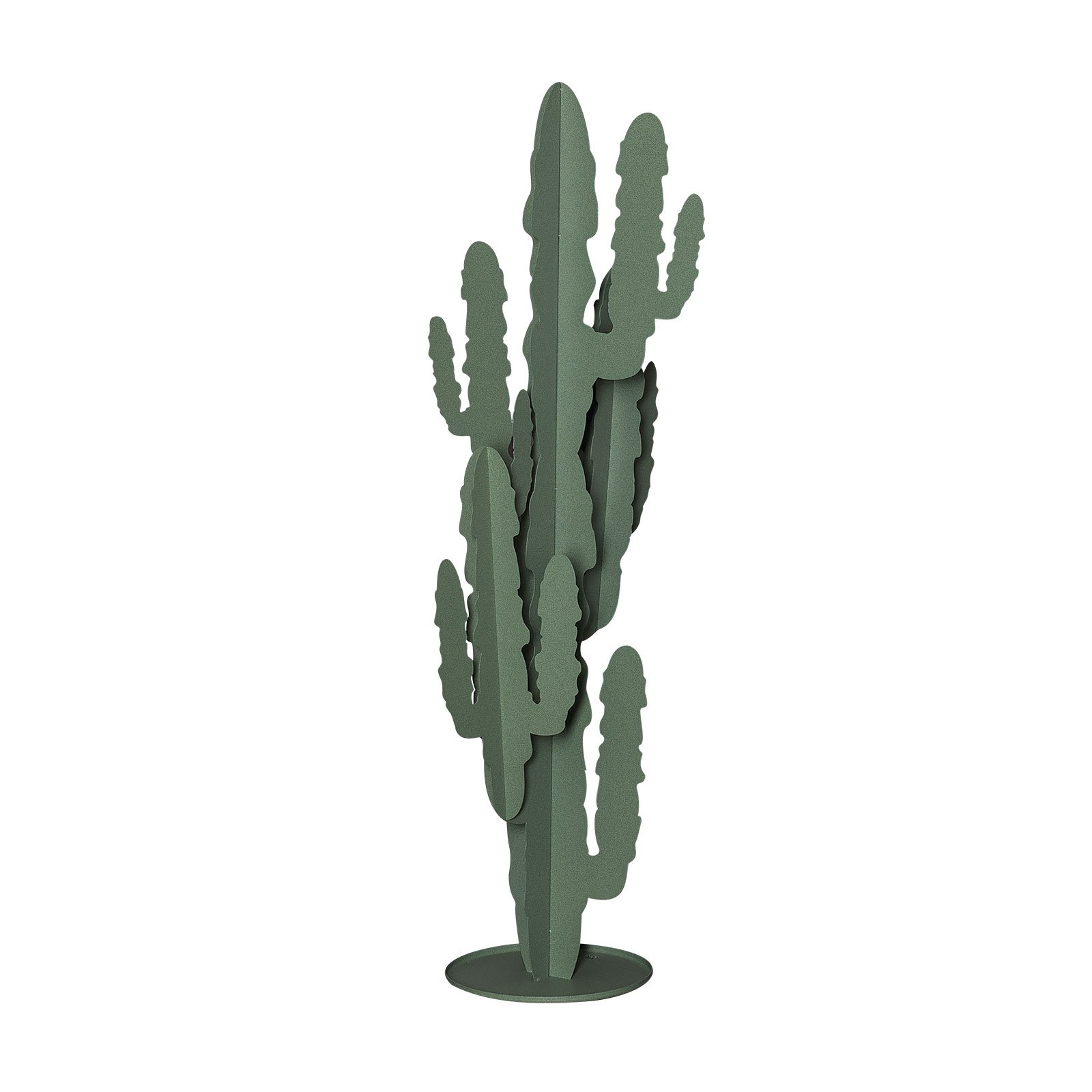 PIANTA CACTUS GRANDE VERDE SALVIA