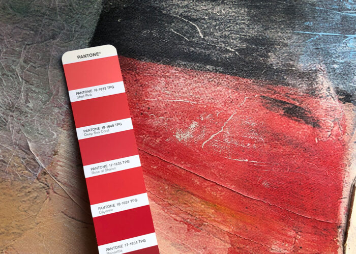 QUADRO ROUGE 30 X 120 AG140220 AGAVE QUADRI - immagine 3