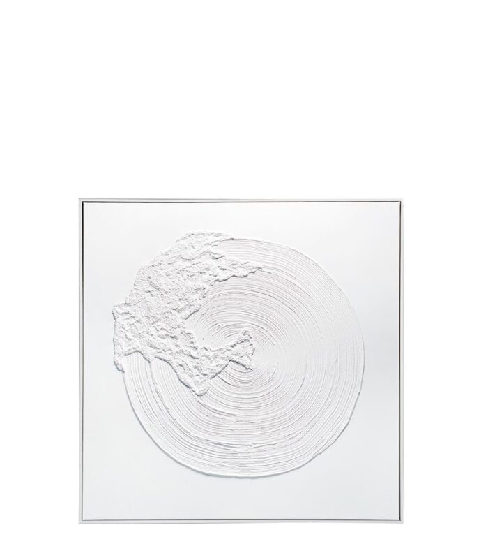Quadro 90x90 con cornice 1Q257 - L'OCA NERA