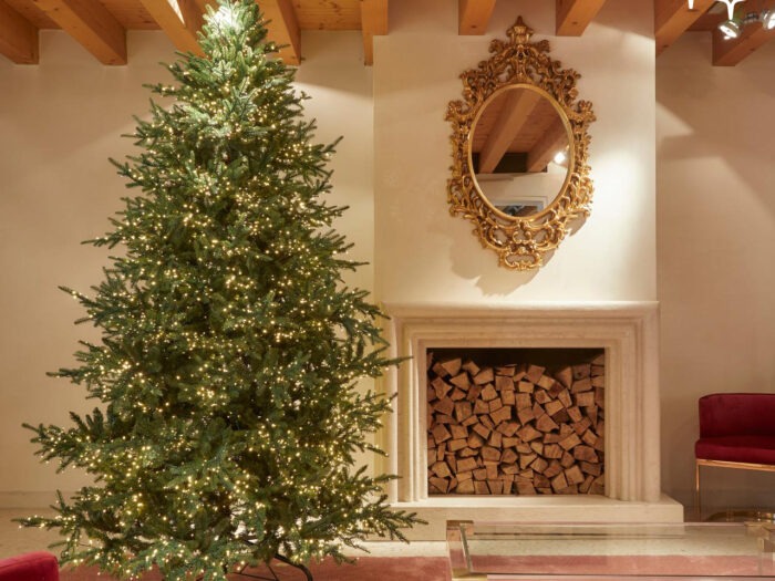 EDG Albero di Natale Pino Luxury h270 cm con 6000 mini led d.162