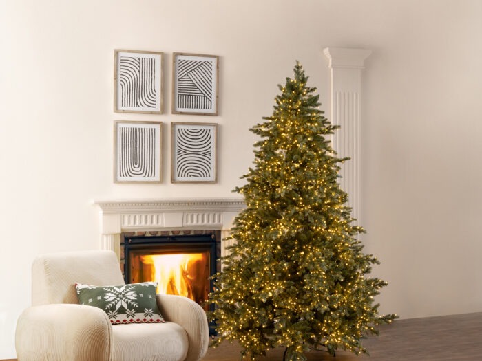 EDG Albero di Natale Pino Argentato H210 con 4000mini Led d.149