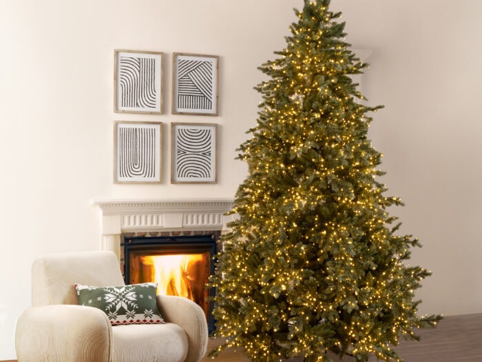 EDG Albero di Natale Pino Argentato H270 cm con 6500mini Led d.170