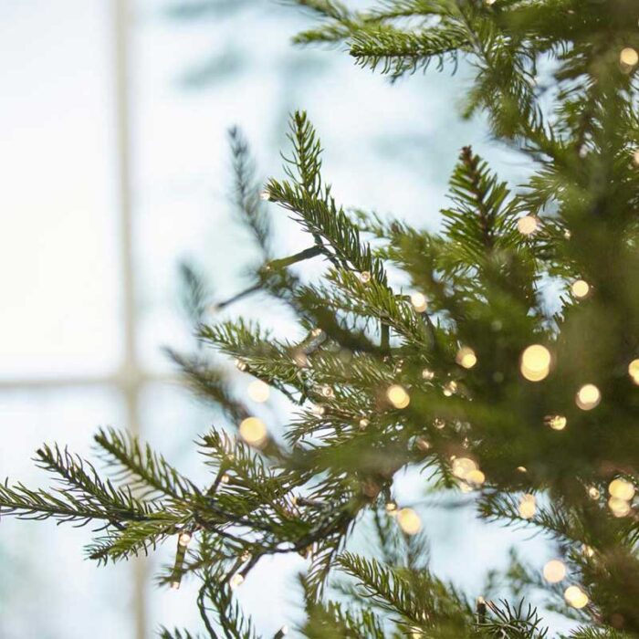 EDG  Albero di Natale Pino Luxury h210 cm con 4000 mini led d.142 - immagine 3