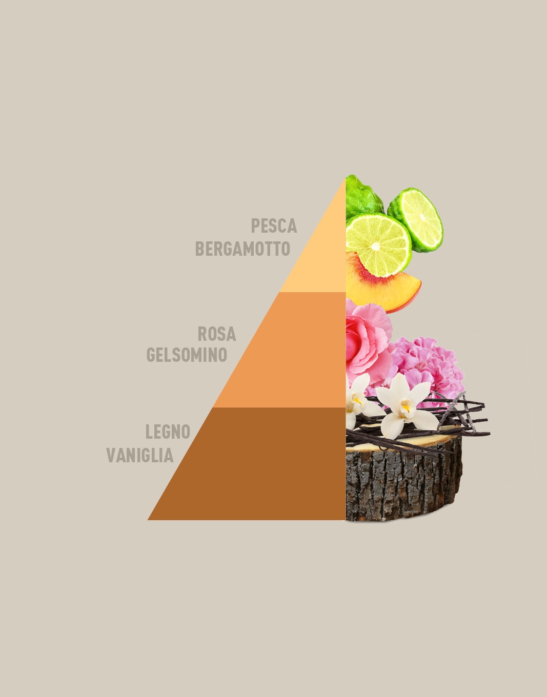 HOROMIA - Profuma Bucato Vento d'oriente 250/500 ml - immagine 2