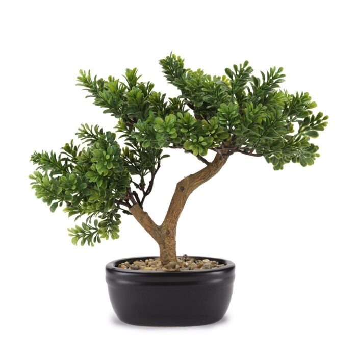 BONSAI CEDRO 35x31 - C/VASO CERAMICA FLOWERS - HENRIETTE - D18962