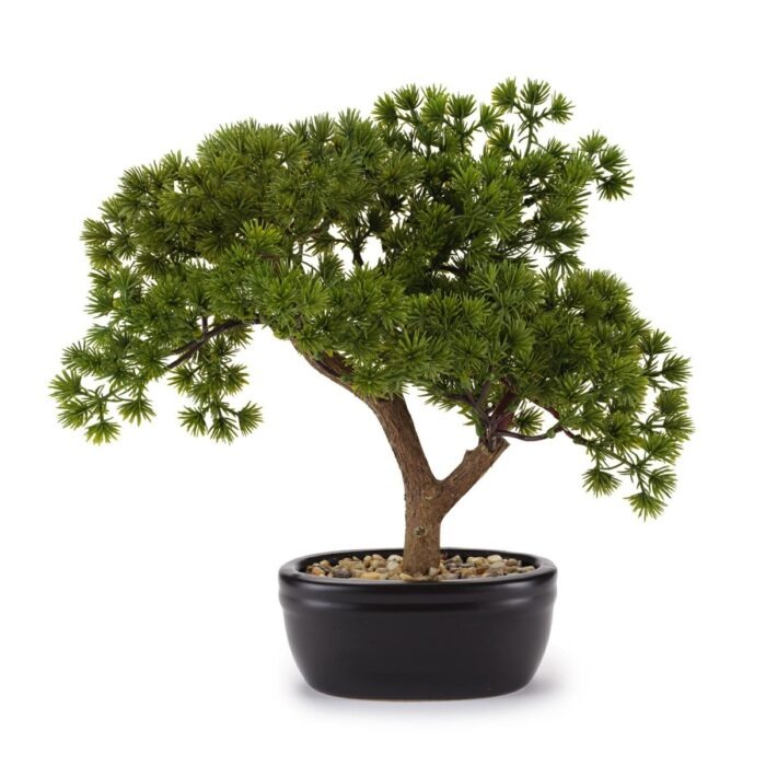 BONSAI PINO 36x30 -  C/VASO CERAMICA FLOWERS - HENRIETTE - D18963