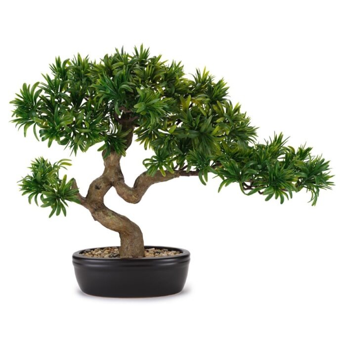 BONSAI TASSO GIAPPONESE 50x43 - C/VASO CERAMICA FLOWERS - HENRIETTE - D18964