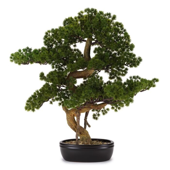 BONSAI PINO 64x71 - C/VASO CERAMICA FLOWERS - HENRIETTE - D18967