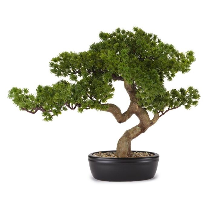 BONSAI PINO 56x43 - C/VASO CERAMICA FLOWERS - HENRIETTE - D18965