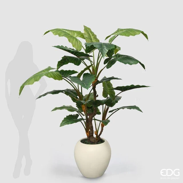 EDG- Alocasia Vogue realistica con vaso - 180h cm - immagine 2