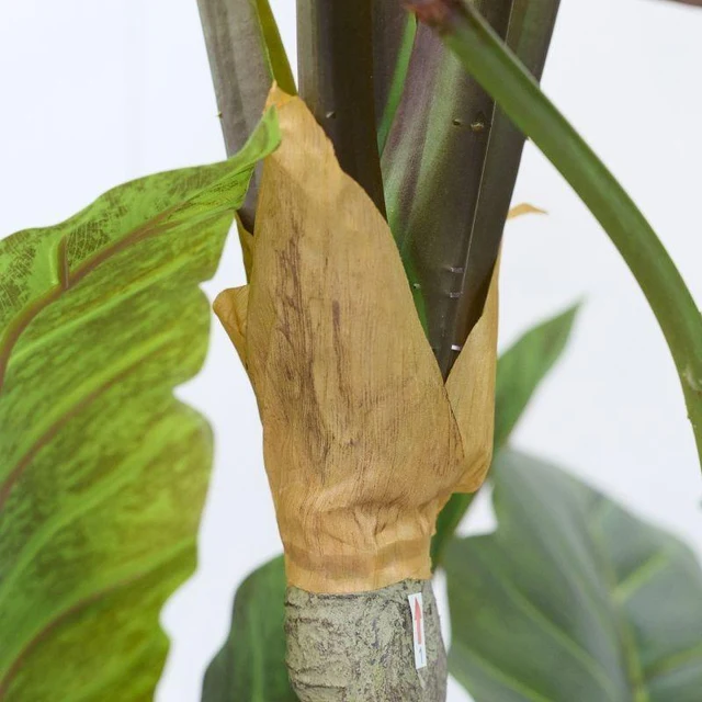 EDG- Alocasia Vogue realistica con vaso - 180h cm - immagine 3