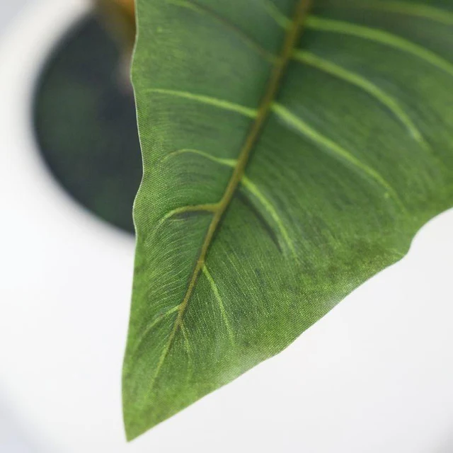 EDG- Alocasia Vogue realistica con vaso - 180h cm - immagine 4