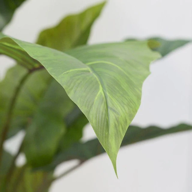 EDG- Alocasia Vogue realistica con vaso - 180h cm - immagine 5