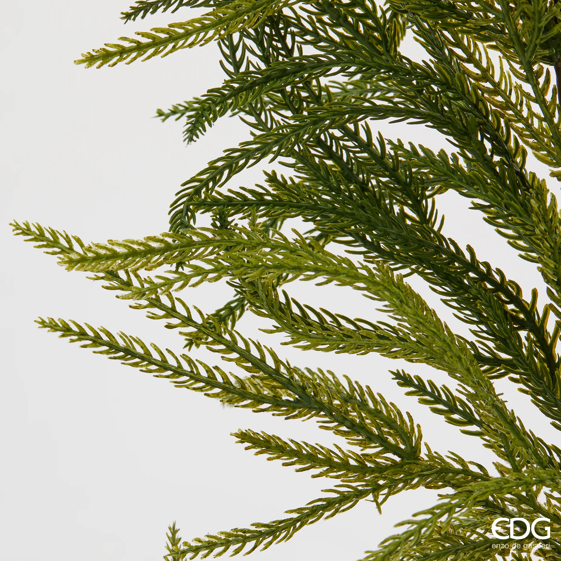 EDG - Festone Cryptomeria 210 cm - immagine 2