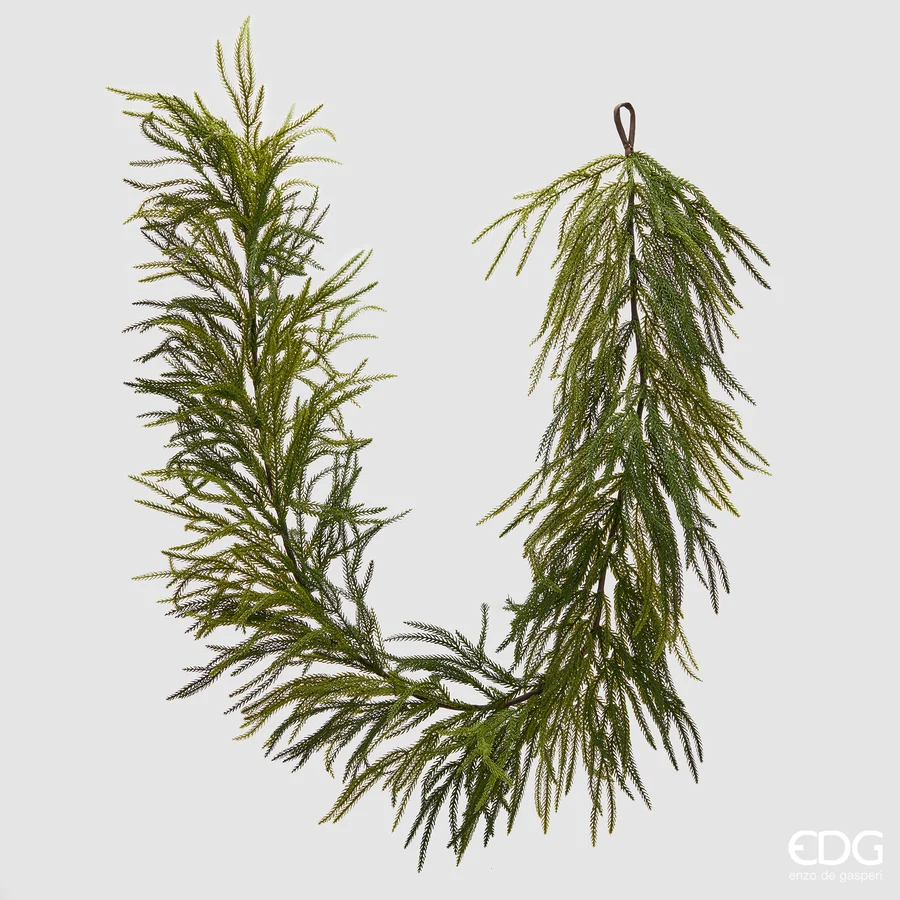 Festone Cryptomeria 210
