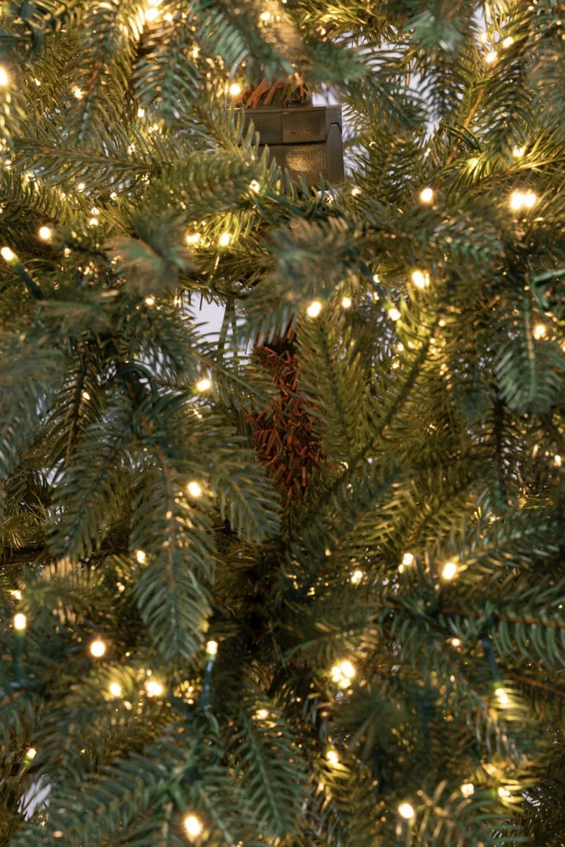 Albero di Natale Archibald 240 h con 5300 LED integrati - immagine 7