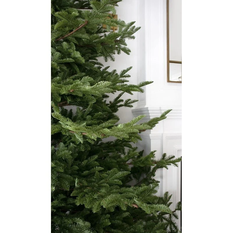 Albero di Natale Rockefeller 180 h cm by Salvatore Izzo - immagine 3